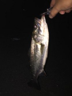 我慢できずにσ(^_^;)