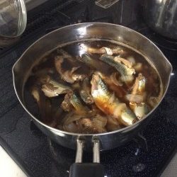 リベンジ！ショアジギング！