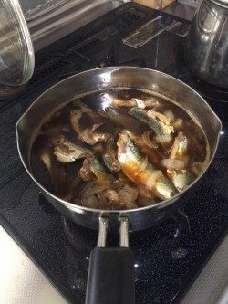 リベンジ！ショアジギング！