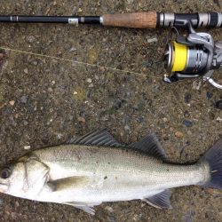 チョットだけ、投げてきました。