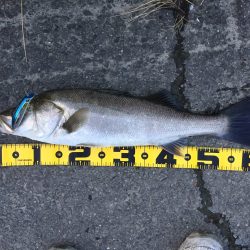 絶好調♪( ´▽｀)