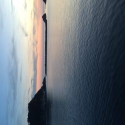 南蛮漬けサイズが多数