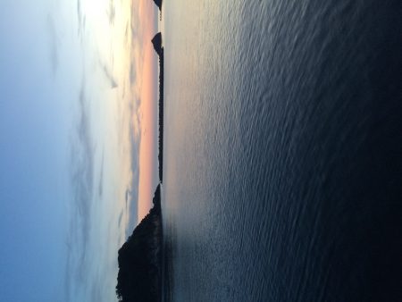 南蛮漬けサイズが多数