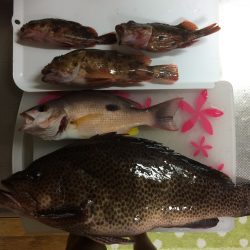 白浜周辺の地磯でショアジギング