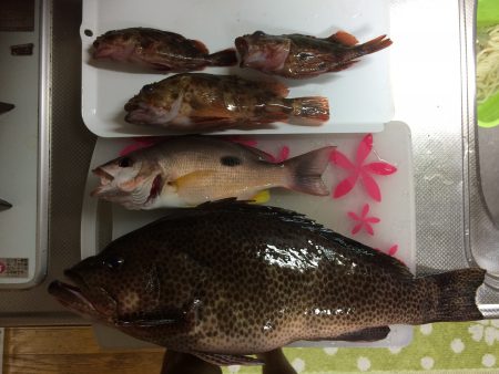 白浜周辺の地磯でショアジギング