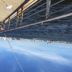 南港ATC近くの海沿いの公園