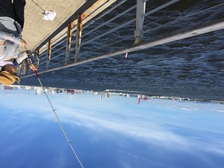 南港ATC近くの海沿いの公園