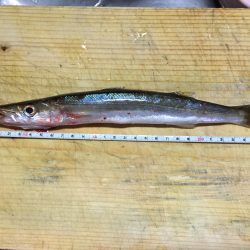 休まずフィッシング