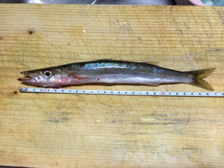 休まずフィッシング