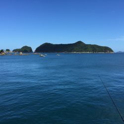 マイクロジギング