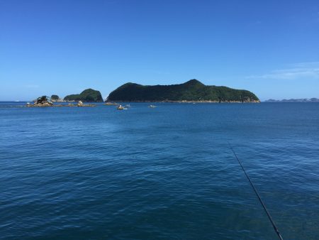 マイクロジギング