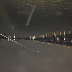 ウナギ！手長海老！