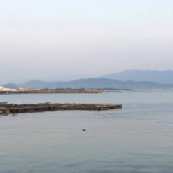 エギングロッドでキス