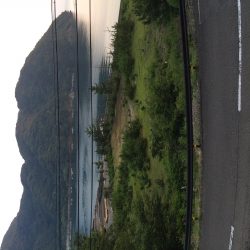 いつでもがしら