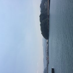 今シーズン３回目のキス釣り