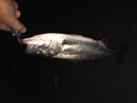 我慢できずにσ(^_^;)