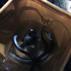 チョイ投げ練習