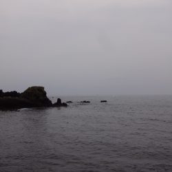 デイアジング！