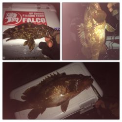 マイポイントで底ズル引きゲーム