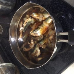 リベンジ！ショアジギング！