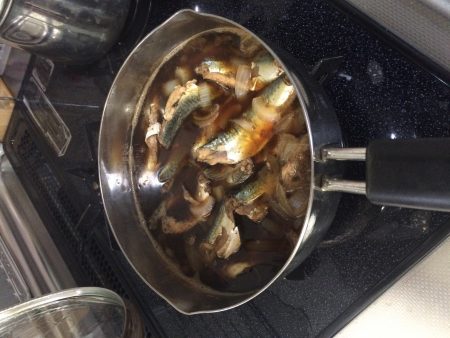 リベンジ！ショアジギング！