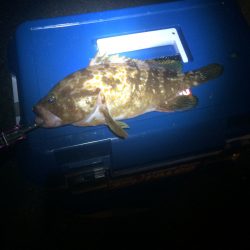 泉南をランガン