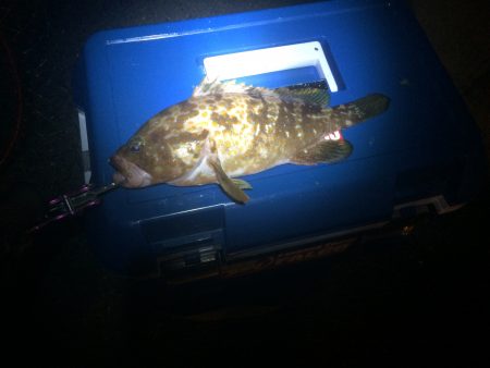 泉南をランガン