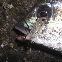 久しぶりの釣行*\\(^o^)/*