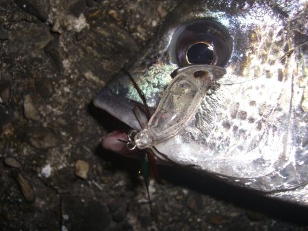 久しぶりの釣行*\\(^o^)/*