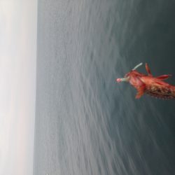 ちょこっとライトゲーム