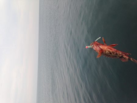 ちょこっとライトゲーム