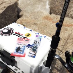 ちょい投げキスゲーム！