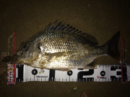 ワームでじっくりと狙うチニング