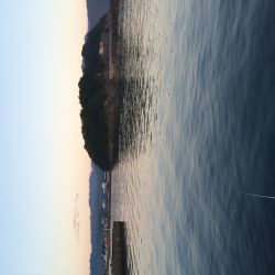 サビキでアジ釣り