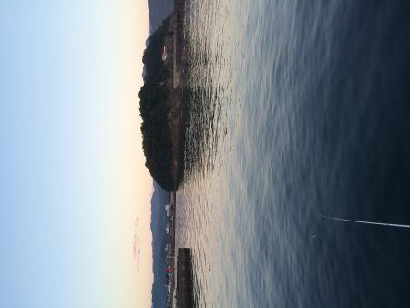 サビキでアジ釣り