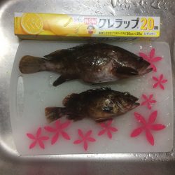 マイポイントでチニング