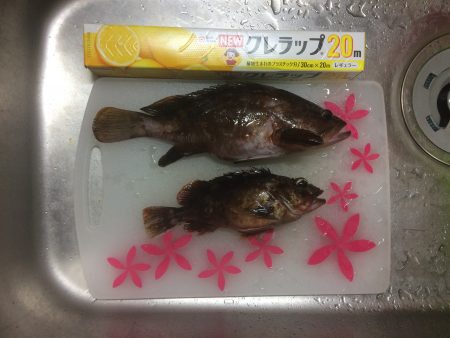 マイポイントでチニング