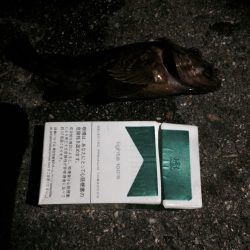 突撃！隣の人工島