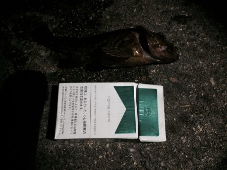 突撃！隣の人工島