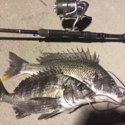 台風前のチニング