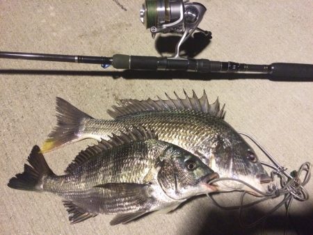 台風前のチニング