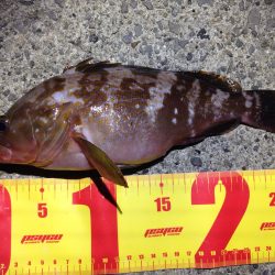 タイフーン後の調査です。