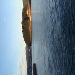 少しだけ楽しめました