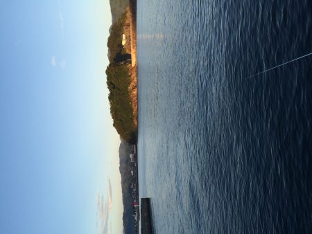 少しだけ楽しめました