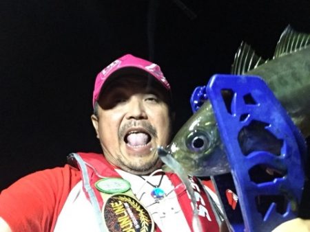 アジングラビット2015　その9