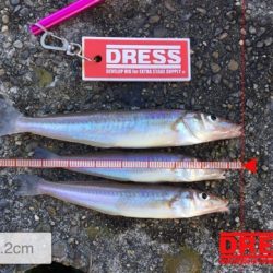 チョメテンでキスイング