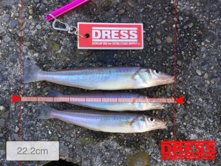 チョメテンでキスイング