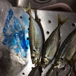 サイズが・・・