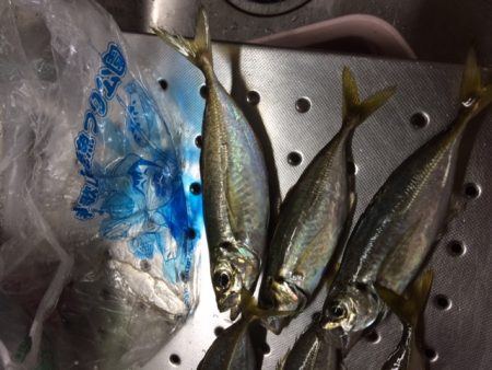 サイズが・・・