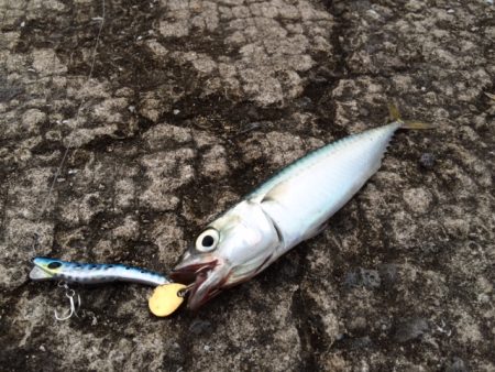 メタルマルゲーム